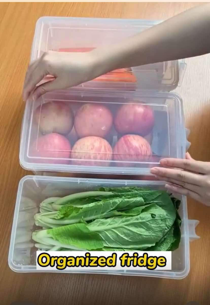 קופסאות ארגוניות למקרר בגודל קטן